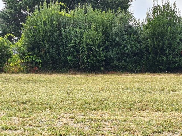 Terrain vente à Blaye, Samonac