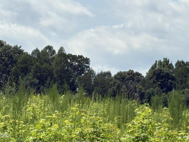 Land for sale in Alamance, North Carolina