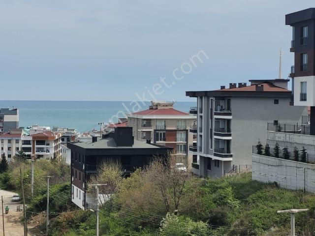 Atakum, Samsun içerisinde kiralık mülk
