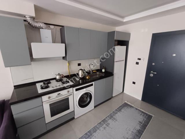 Atakum, Samsun içerisinde kiralık mülk