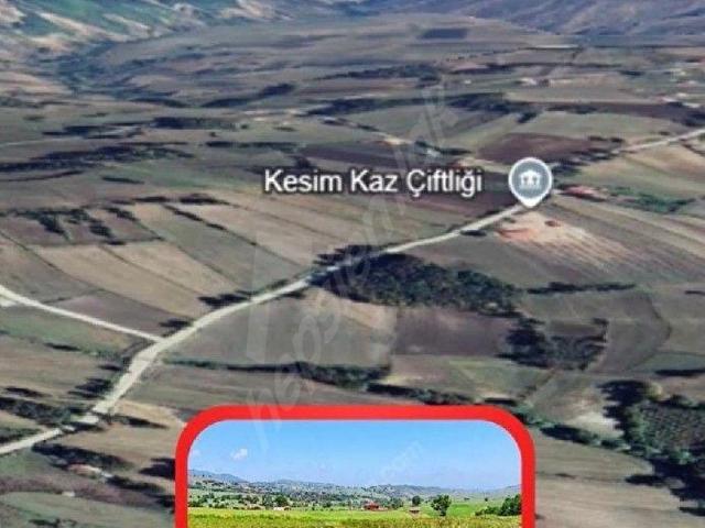 Atakum, Samsun içerisinde satılık Arsa