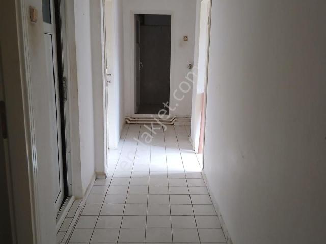 İlkadim, Samsun içerisinde kiralık mülk