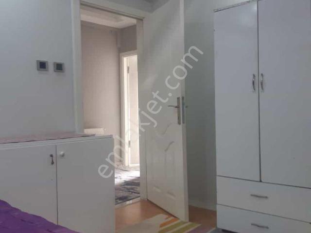 İlkadim, Samsun içerisinde kiralık mülk