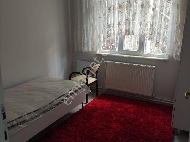 İlkadim, Samsun içerisinde kiralık mülk