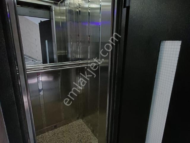 İlkadim, Samsun içerisinde kiralık mülk