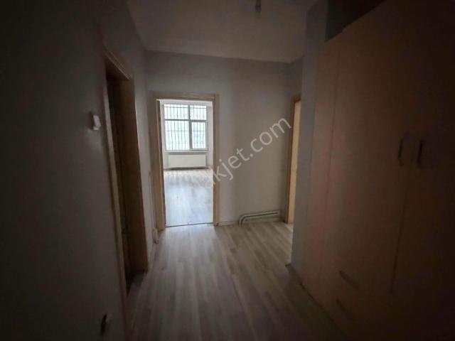 İlkadim, Samsun içerisinde kiralık mülk