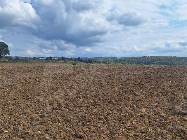 Kavak, Samsun içerisinde satılık Arsa