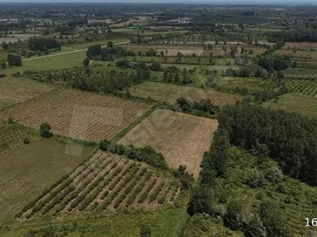 Terme, Samsun içerisinde satılık Arsa