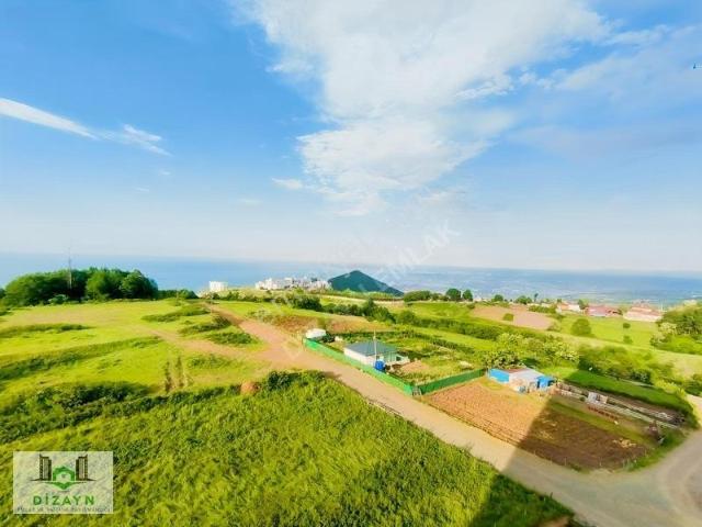 Canik, Samsun içerisinde satılık mülk