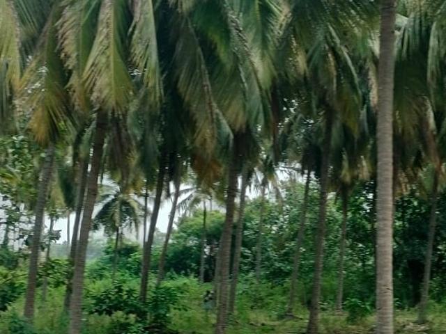 Land for sale in Kancheepuram, Tamil Nadu