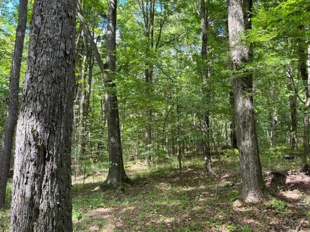 Land for sale in Warren, Pennsylvania
