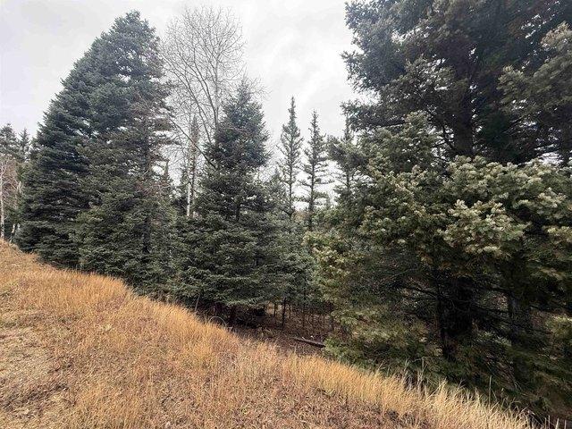 Land for sale in Angel Fire, New Mexico