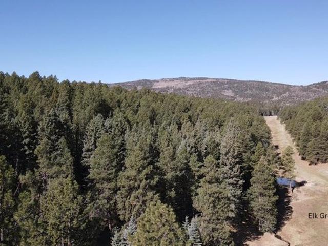Land for sale in Angel Fire, New Mexico
