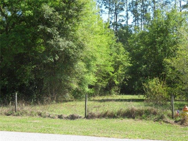 Land for sale in Florida