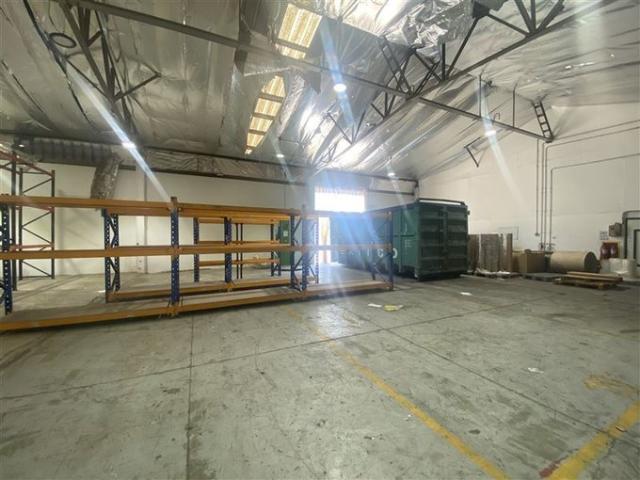 San Bernardo, Avda lo espejo