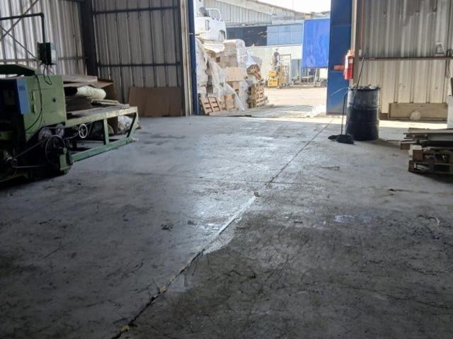 San Bernardo, Los pinos