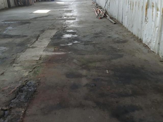 San Bernardo, Los pinos