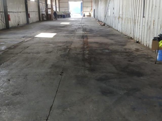 San Bernardo, Los pinos