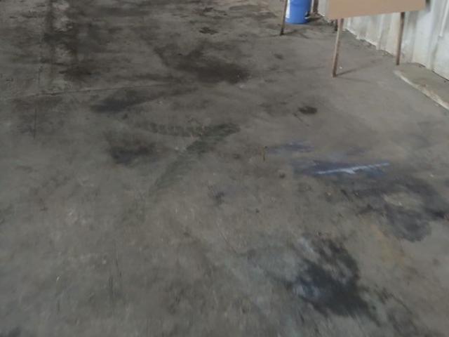 San Bernardo, Los pinos