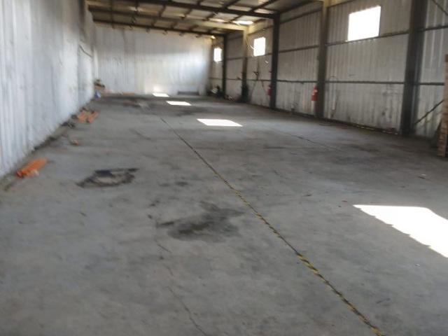 San Bernardo, Los pinos