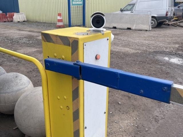 San Bernardo, Los pinos