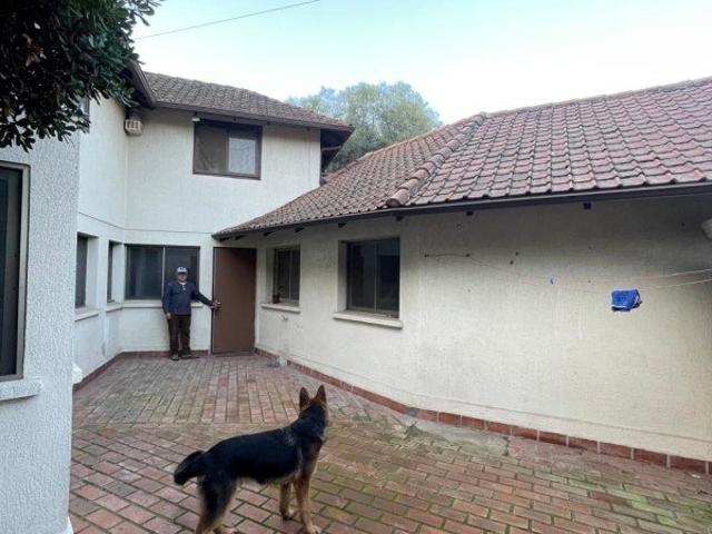 San Bernardo, Los pinos