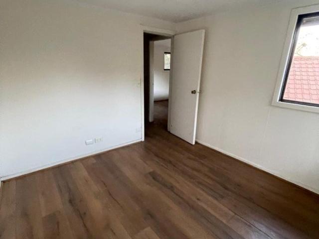 San Bernardo, Los pinos