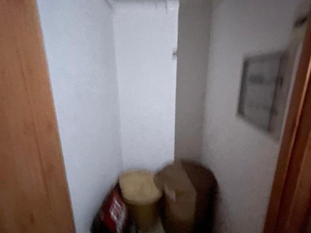 San Bernardo, Los pinos