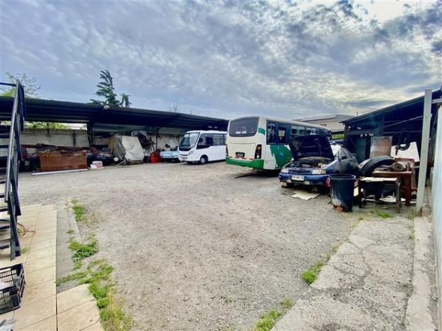 San Bernardo, victoria con alfonso donoso