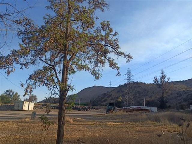 San Bernardo, Terreno 63.800 mts2 en arriendo en san bernardo