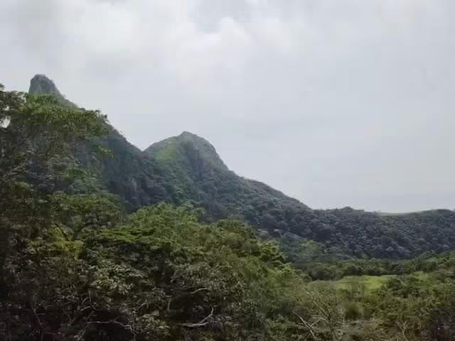 Terreno venta en San Carlos, David