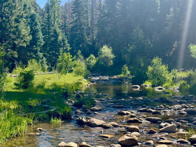 Farm for sale in Rio Arriba County, New Mexico