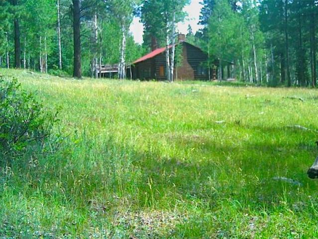 Farm for sale in El Rito, New Mexico