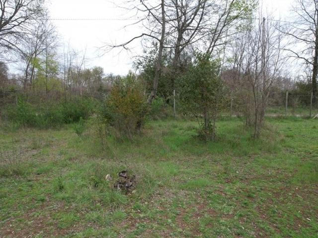 San Ignacio, San Ignacio