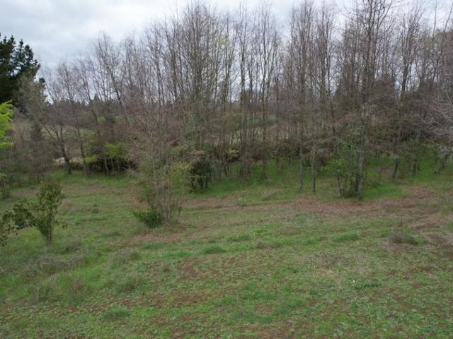 San Ignacio, San Ignacio