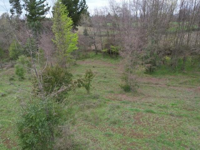 San Ignacio, San Ignacio