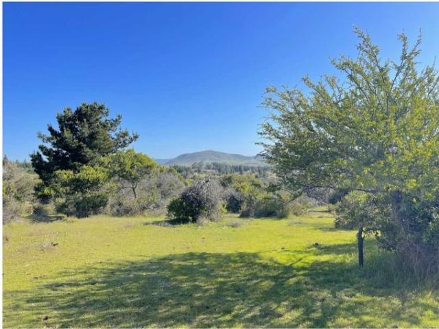 San Javier de Loncomilla, 5000mts terreno plano San Javier 107024