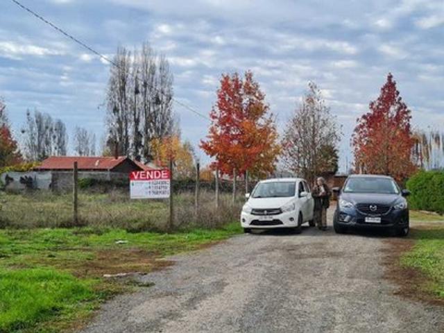San Javier de Loncomilla, cerca de todo 106937