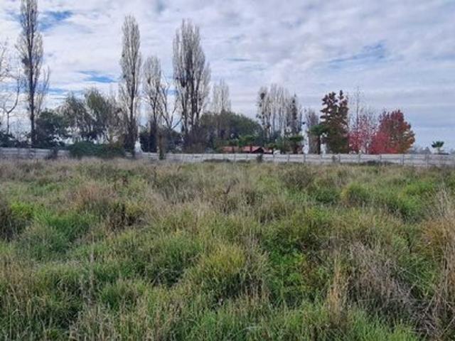 San Javier de Loncomilla, cerca de todo 106937