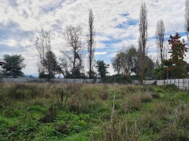 San Javier de Loncomilla, cerca de todo 106937