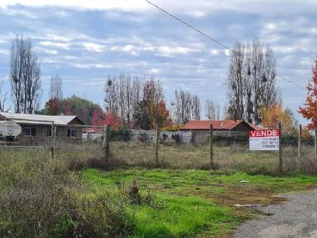 San Javier de Loncomilla, cerca de todo 106937