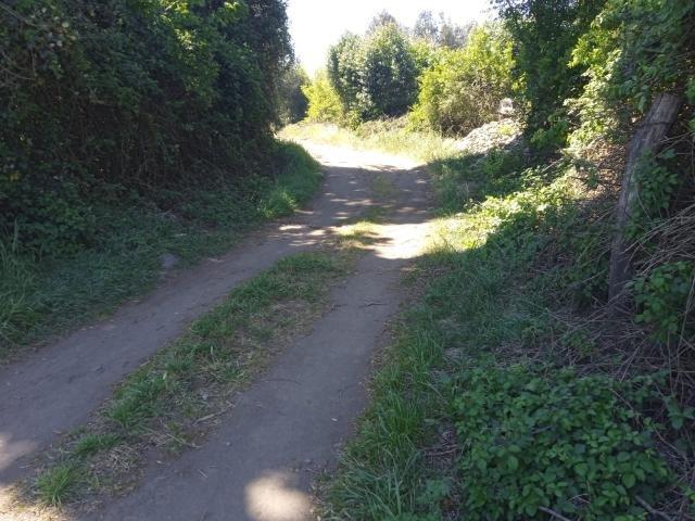 San Javier de Loncomilla, El Olivar/Yerbas Buenas