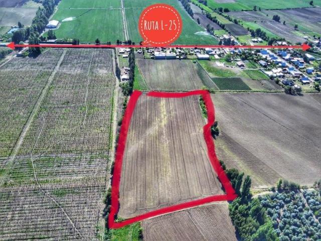 San Javier de Loncomilla, El Olivar/Yerbas Buenas