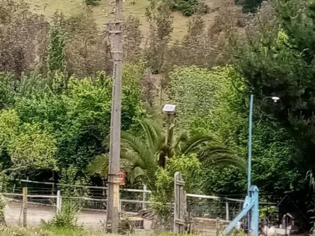 San Javier de Loncomilla, San Javier de Loncomilla
