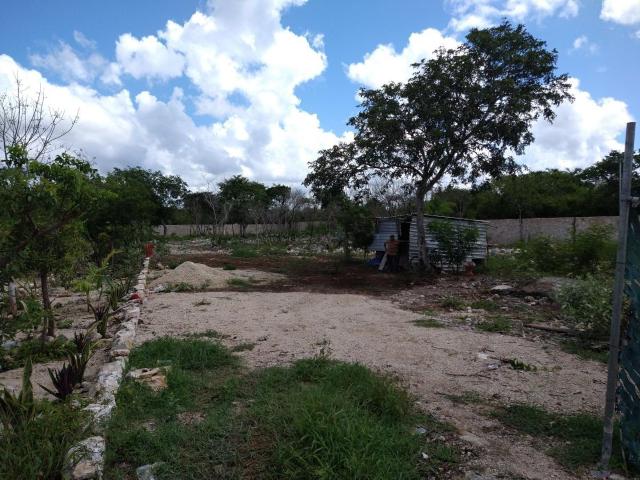 Terreno en renta en Conkal, Yucatán