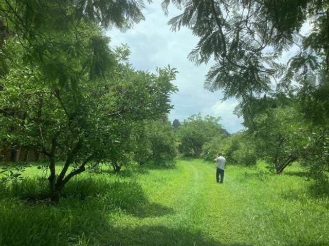 Quinta en venta en Valle De Bravo, Estado de México