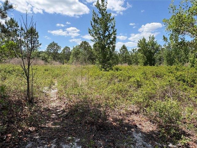 Land for sale in Polk City, Florida