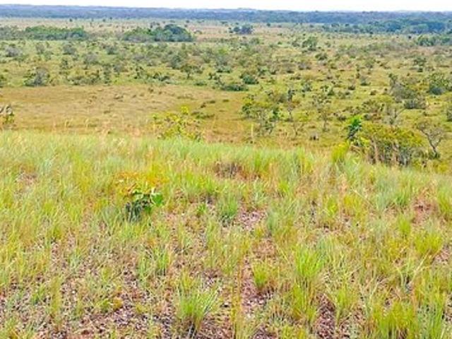 Land for sale in Florida