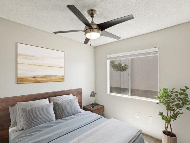Apartment for rent in Tucson, Arizona