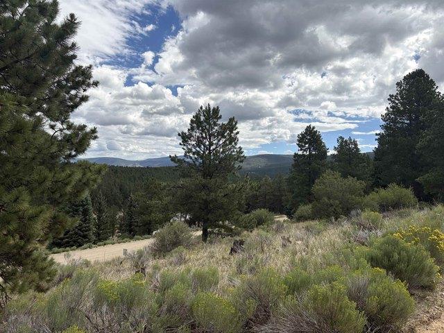 Land for sale in Angel Fire, New Mexico